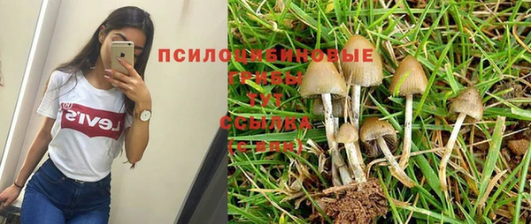 дмт Алзамай