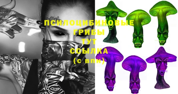 ешки Алексеевка