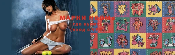 дмт Алзамай